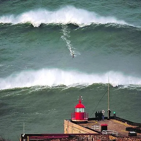 Paredes Da Vitoria Vakantiehuis *